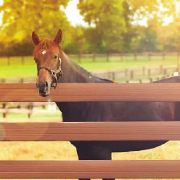 Cerca para Aras em Madeira Plastica.jpg